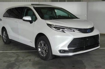 赛那